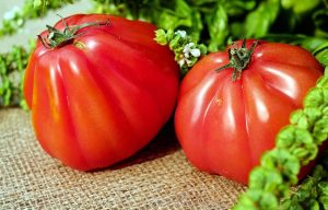 Tomates - TinaCocina.com